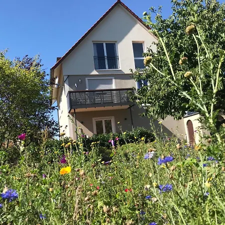 Ferienwohnungen Scheuring 1.OG Volkach Exterior foto
