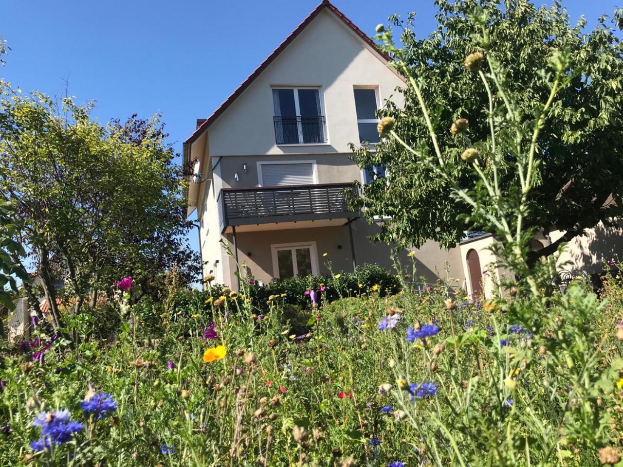 Scheuring 1.og Appartement *